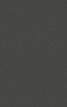 Farbtöne pladur® Deluxe , Laukien 'bauhausstil naturmatt': Grey 05